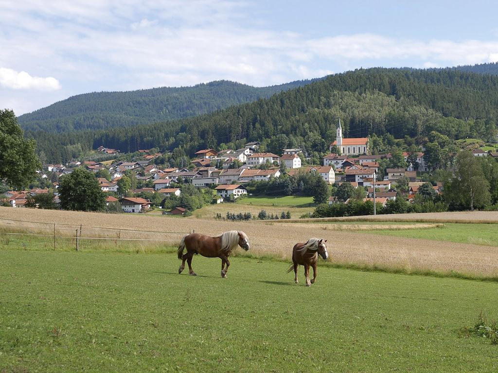 Pension Weiss Hohenwarth Exteriér fotografie